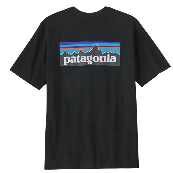 Patagonia Other - Patagonia P-6 Logo Short-Sleeve Responsibili-T-Shirt - Men Size L
